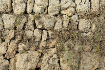 Background of old wall texture, traditional Mallorcan masonry with natural vegetation