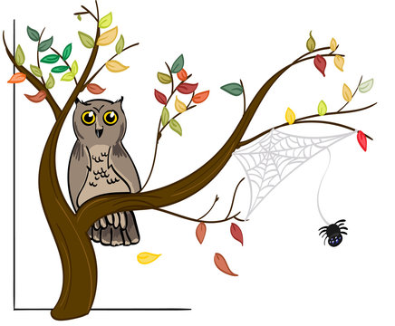 Owl and Spider on an autumn tree