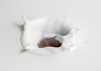 Chocolate falls in milk