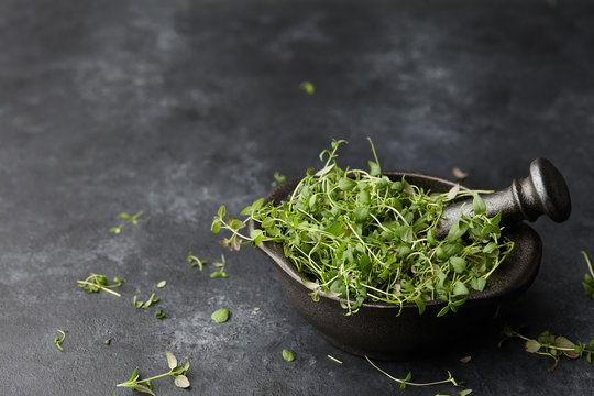 Fresh green thyme herb in cast iron spice grinder or mortar on black stone background, close up view