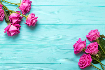 Naklejka premium Granica od różowych róż kwitnie na cyraneczki koloru drewnianym tle. Kwiatowa makieta. Widok z góry. Miejsce na tekst.