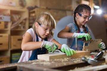 Two young girls doing woodwork in a workshop
