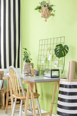 Green home office interior 