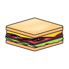 sandwich icon over white background, colorful design. vector illustration