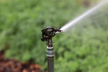A professional irrigation system pours your plants individually and your lawn evenly
