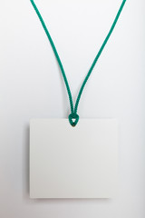 VIP pass id, name tag. Identification blank template, conference identity.