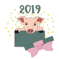 Cute pink pig in gift box. Chinese symbol of the 2019 year. Hand Drawn Vector illustration.