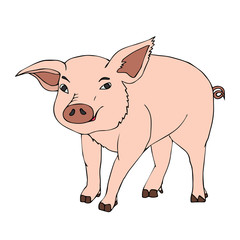 Cute pink pig. Hand Drawn Vector illustration.