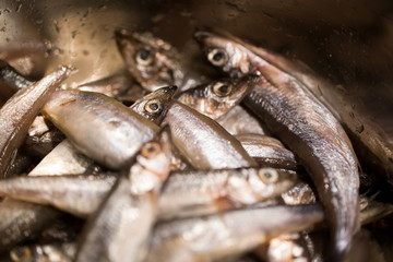 Seafood capelin close-up