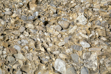 Nagelfluh - Gestein - Allgäu - Konglomerate