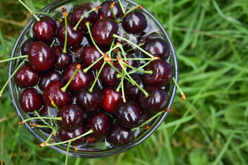 Spelled cherries in the bowl onthe green grass