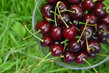 Spelled cherries in the bowl onthe green grass