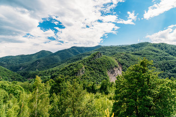 Fototapeta na wymiar Beautiful Carpathian Mountains Summer Landscape In Romania