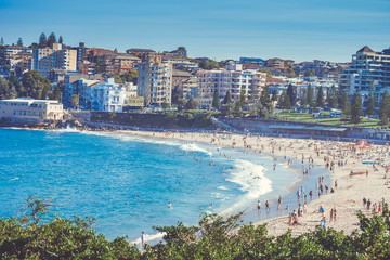 Obraz premium Sydney Bondi Beach