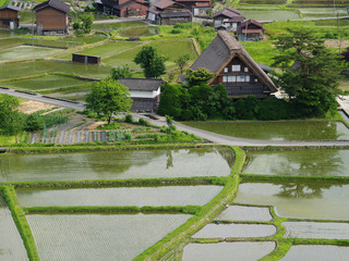 合掌造りの集落