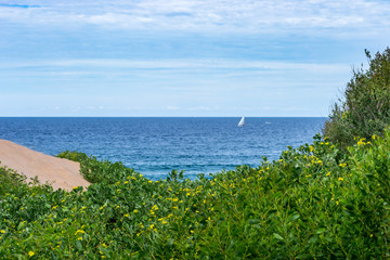 Palm Beach Australia (Sydney)