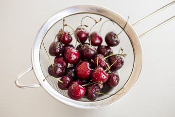 Fresh ripe bird cherries close up shot