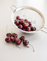 Fresh ripe bird cherries close up shot