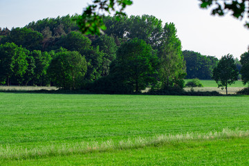 Panorama view of beautiful summer park with cloudy sky