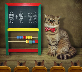 The cat in glasses and a bow tie teaches mathematics to its students.