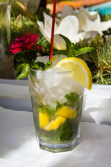 Classic mojito