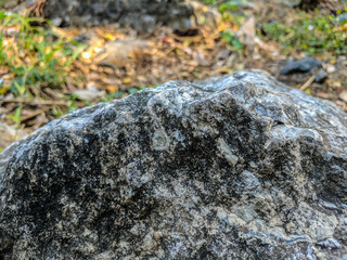 Big stone with blurred background in garden