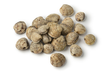 Heap of fresh raw warty venus clams