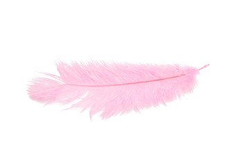 fluffy feather in pink color isolated on the white © Liza