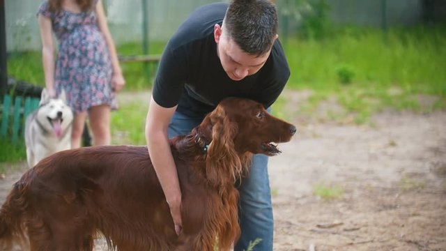 Young man host strokes his dog irish setter and young woman with husky stands on background