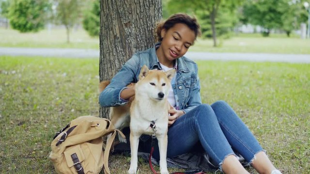 Pretty mixed race girl is petting cute shiba inu dog and talking to it with tenderness resting in park at weekend. Friendship between humans and animals concept.
