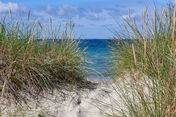 Sandy dunes covered with a grass on Sola Strand beach near Stavanger, Norway