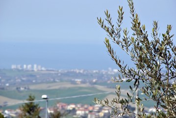 italian contryside view from a hill