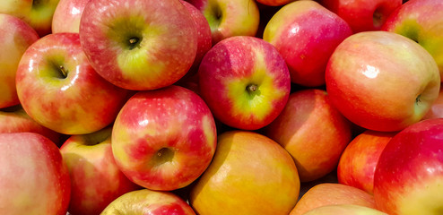 ripe red apples