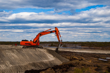 excavator builds a mound in the swamp