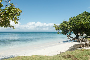 Tropical beach on the island