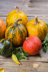 Composition of a different varieties and colors of pumpkins on on rustic wooden background