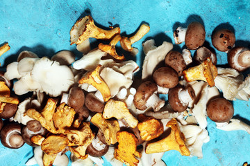 variety of raw mushrooms on table with oyster mushrooms and champignons.