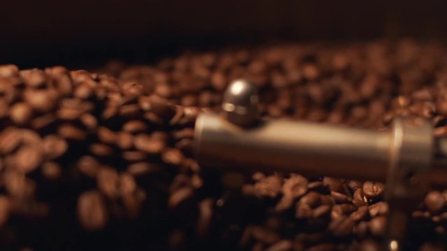 Closeup view of aromatic brown coffee beans rotating in special cooler after roasting, in slow motion