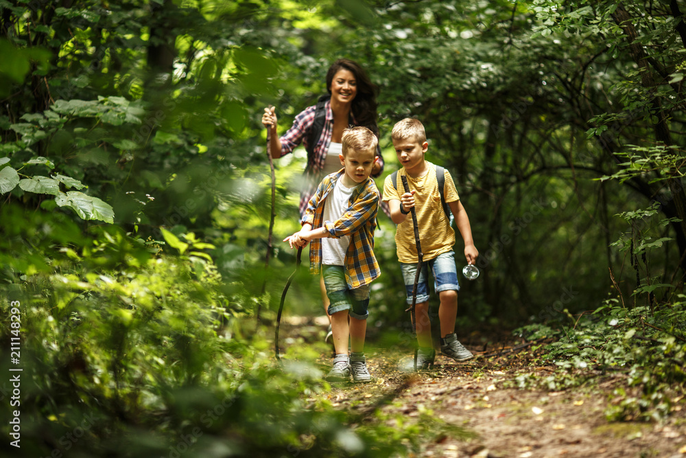 Wall mural mother and her little sons hiking trough forest .