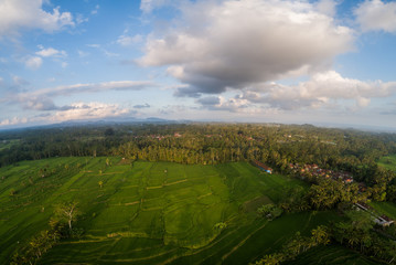 Fototapeta na wymiar Aerial drone view of beautiful rice fields and cloudy summer sky in Bali, Indonesia