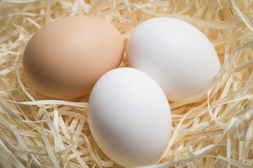 Three chicken eggs lie in a nest of straw, shot close-up