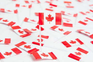 lots of canadian flags on a white background
