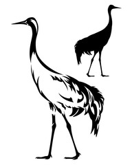standing crane bird side view black and white vector outline and silhouette