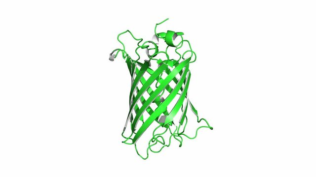 Green fluorescent protein (GFP), rotating cartoon model, seamless loop