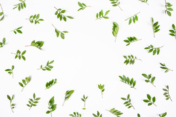 Frame of green leaves on white background. Flat lay, top view