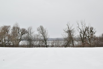 field in winter on a cloudy day