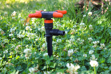 drip irrigation of green lawn