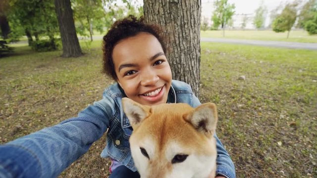 Point of view shot of cheerful African American teenage girl taking selfie with adorable shiba inu dog holding camera, posing and looking at camera. People and animals concept.