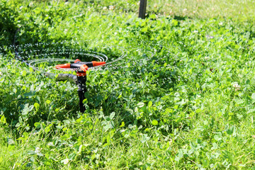 drip irrigation of green lawn