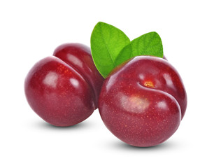 red cherry plum with green leaves isolated on white background